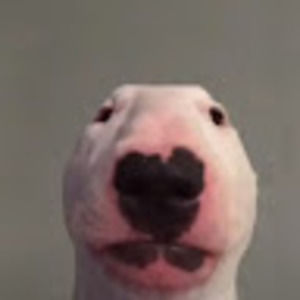 Meet your Posher, Rodrigo